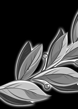 592421ab9bc80_.jpg.cc9799c6f6976ddf2801c0a76ff1ebd3