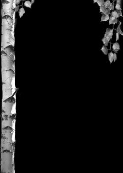 d48937f66145