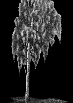 j29o6